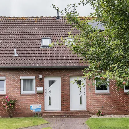 50037... * Каролинензиль