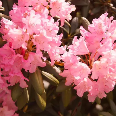 50037... Дом отдыха *